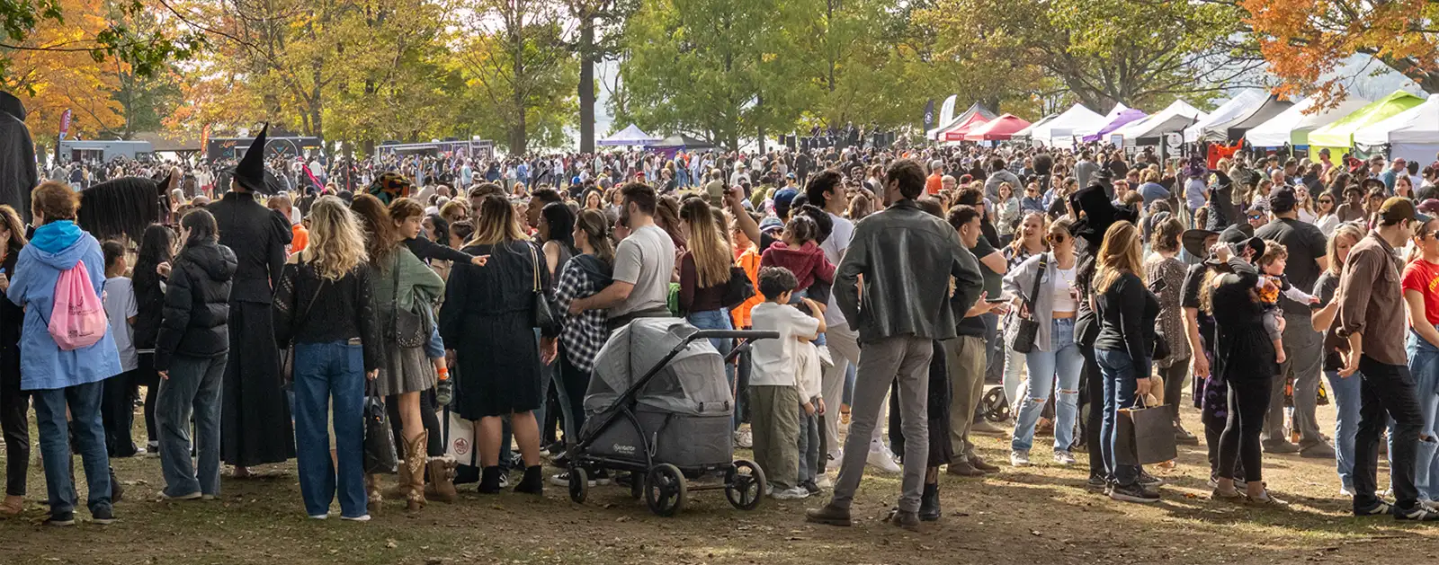 Oh what a crowd of festival goers, witches and warlocks